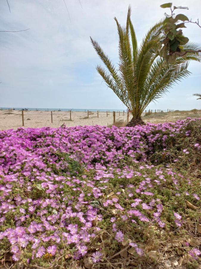 Friendly Home Bella Casa Puerto de Sagunto Exterior photo